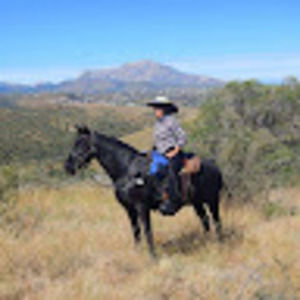 Meet your Posher, Marilyn